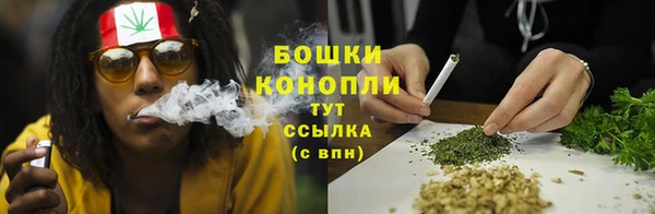 индика Липки