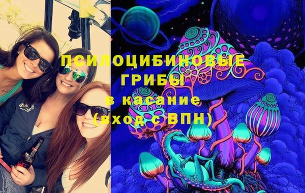 индика Липки