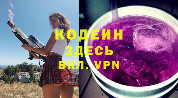 индика Липки