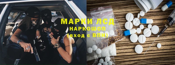 винт Лагань
