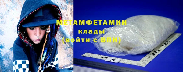 прущие грибы Алапаевск