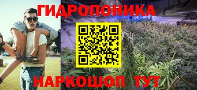 кокс Гусев