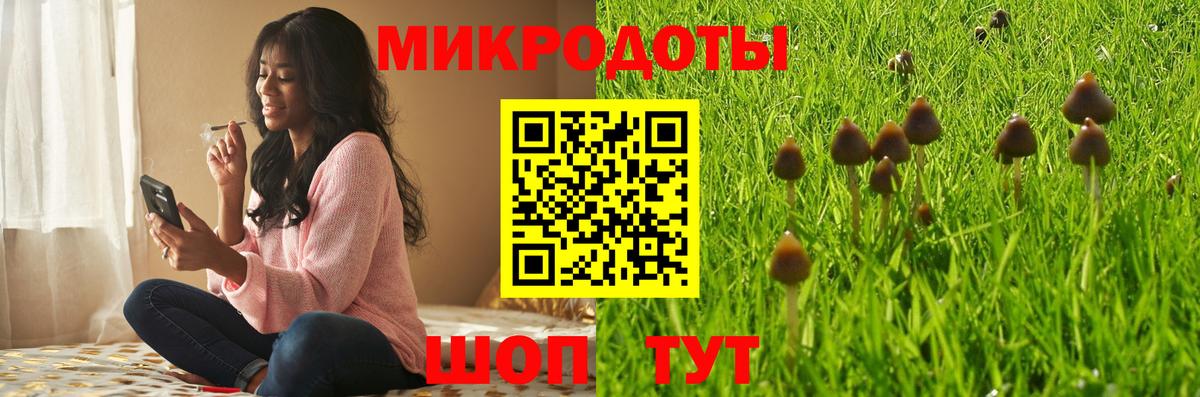 Псилоцибиновые грибы Cubensis  Вход с VPN  Кирово-Чепецк 