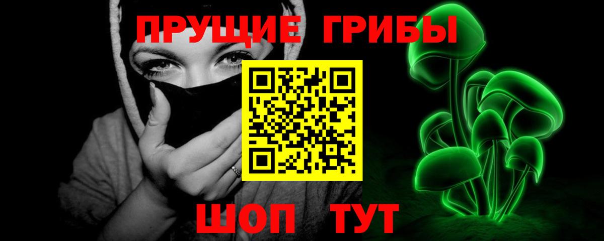 Галлюциногенные грибы Psilocybine cubensis Кирово-Чепецк